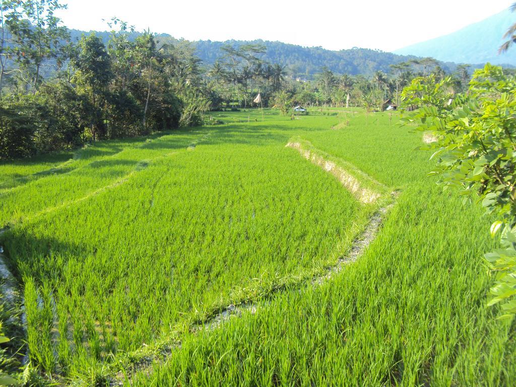 Villa Uma Ayu Sidemen Sidemen  Bagian luar foto