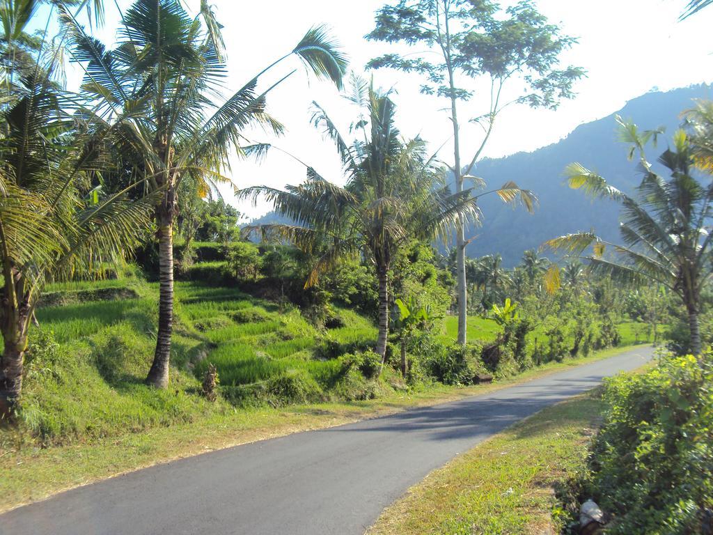 Villa Uma Ayu Sidemen Sidemen  Bagian luar foto