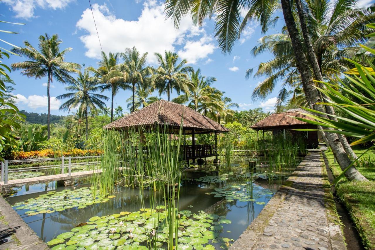 Villa Uma Ayu Sidemen Sidemen  Bagian luar foto